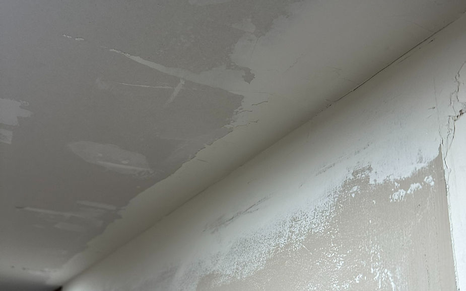 buying a home in michigan | living in michigan | moving to michigan | andrew mcmanamon realtor