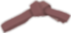 Коричневый пояс айкидо без фона.png