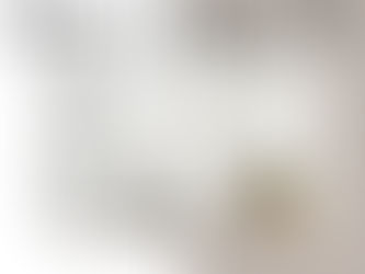 HOME DECOR TIP: Add Mirrors to Rooms Around Your House