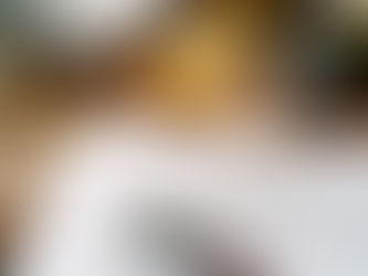 REAL ESTATE INSPECTIONS: What's the Big Deal?