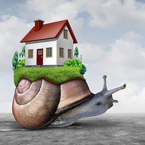 Snail with house on its back