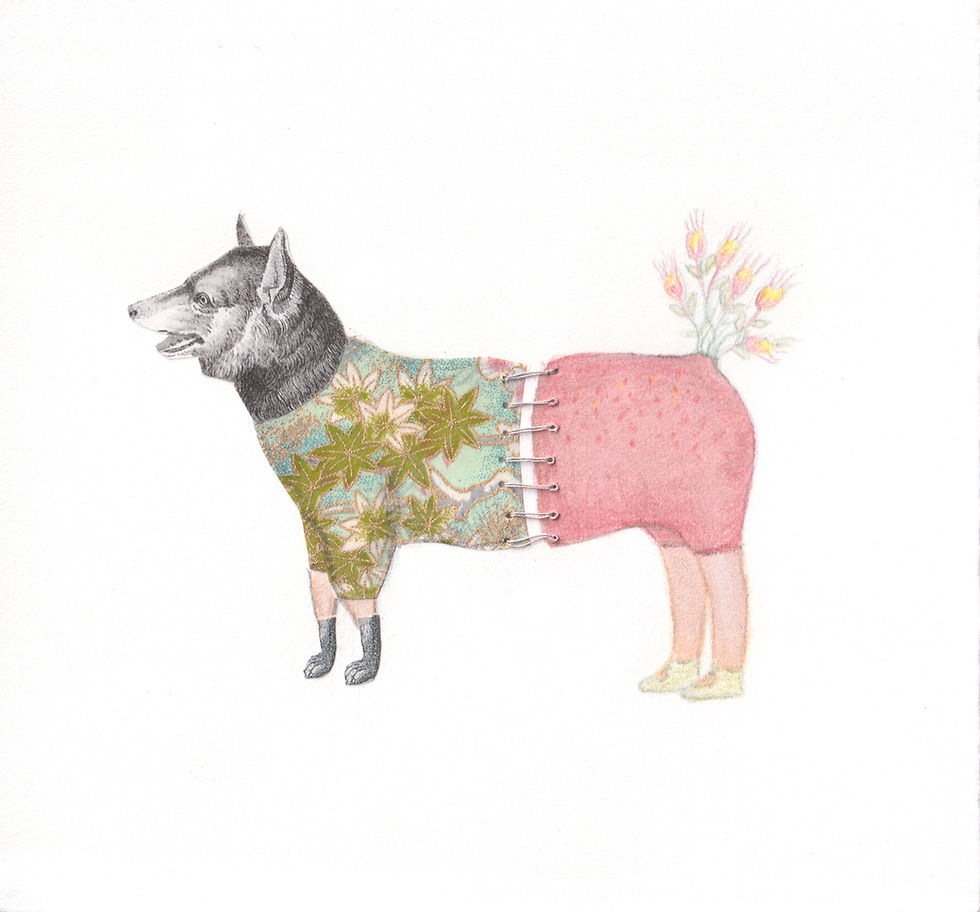 Miniaturbild: Canidae flores