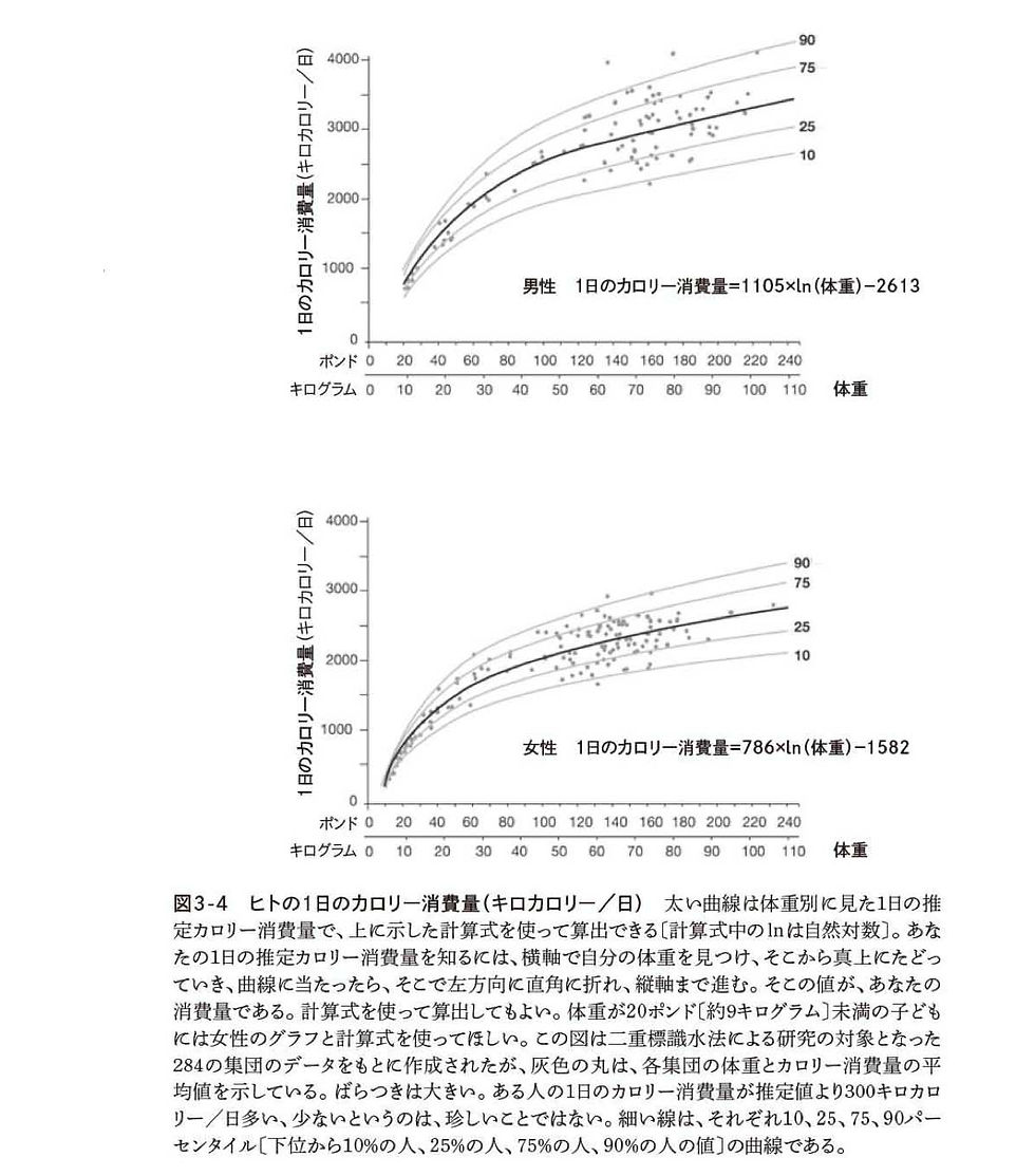 ダイエット,脳卒中,予防