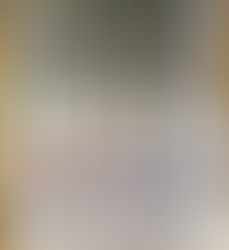 Artist profile in the Tampa Bay Times