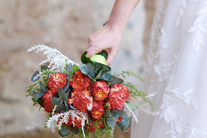 IMG_00386_Original.JPG