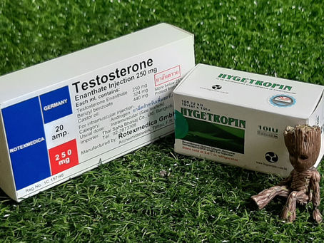 Testosterone VS HGH in Thailand. What is better and how to choose? - ThaiHGH.com