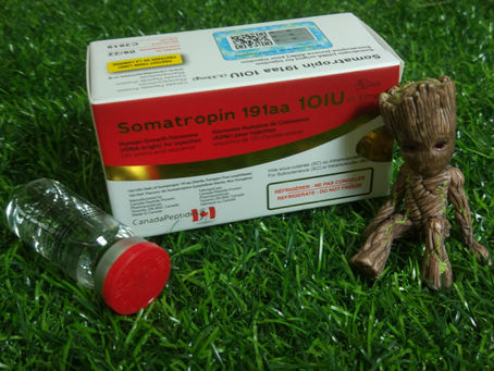 Order now HGH Canada Somatropin 191aa and get free Bacteriostatic water 10ml in Thailand - ThaiHGH