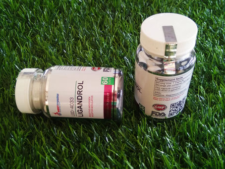 Buy original SARM Ligandrol LGD-4033 10mg 60caps in Thailand - ThaiHGH.com