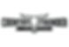 country-thunder.png