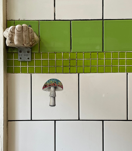 Under a shroom.jpeg