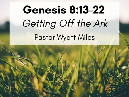 Genesis 8:13-22