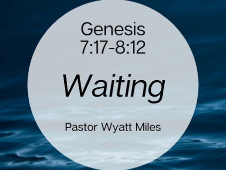Genesis 7:17-8:12