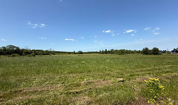 IMG_7414.JPEG