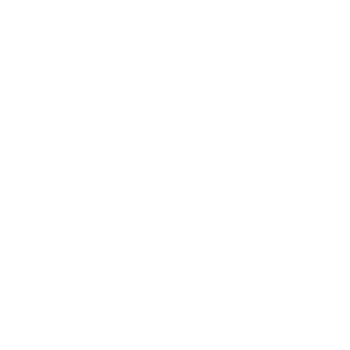 RIGAD WHITE.png
