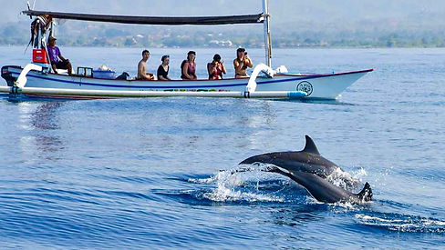 Lovina-Dolphin-Watching-Day-Tour.jpg