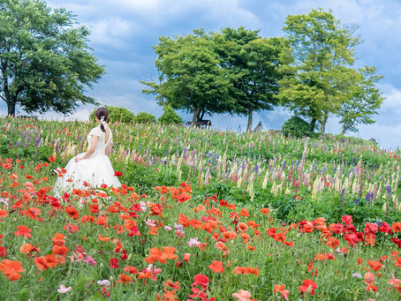 お花畑ウェディング♡『那須フラワーワールド』