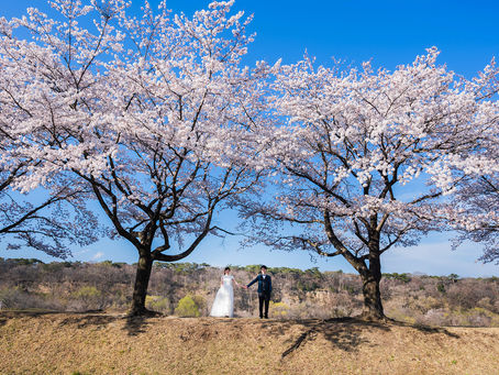 四季を感じる撮影を♡