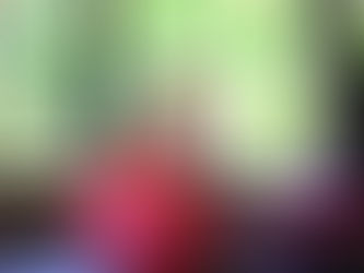 初夏にぴったりな”色打掛”