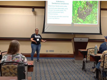 Agroforestry Updates: Forest Farming Spring 2024 Recap