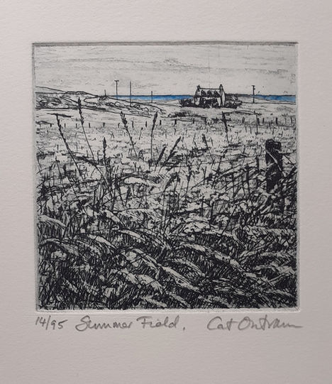 2019 Summer Field 14-95.jpg