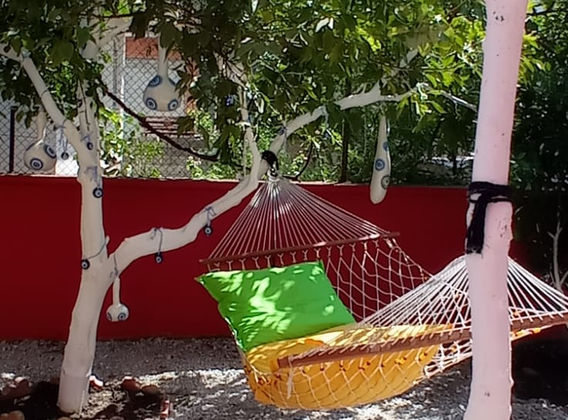 Özel Osmaniye Seçkin Yaşam Özel Eğitim Ve Rehabilitasyon Merkezi