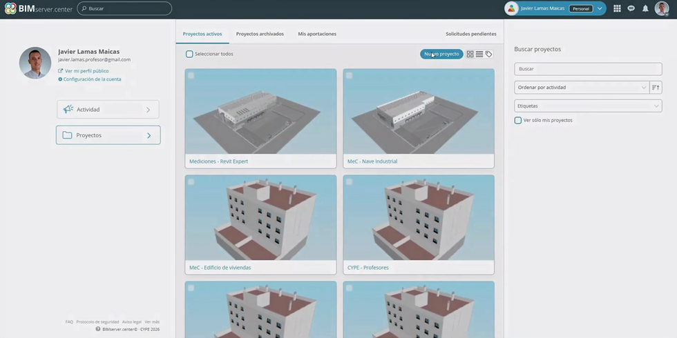 Problema con lucernarios en cubiertas inclinadas al generar los modelos analíticos desde Revit