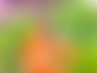 Saraswatis Geschichte