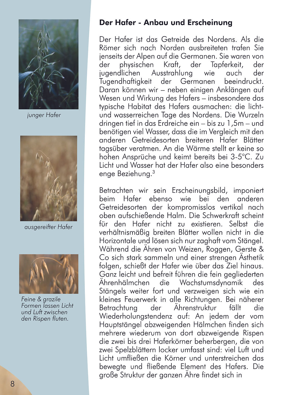 Broschüre Hafer Seite 8