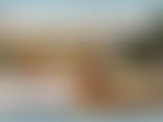 Der Sanddorn in der Ernährungsheilkunde