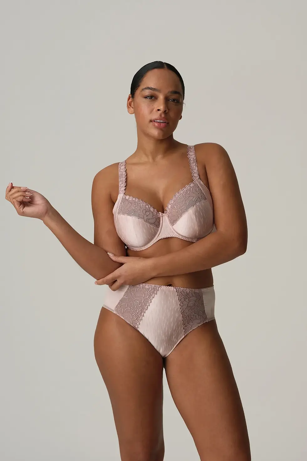 Miniature : Prima Donna Monterrey