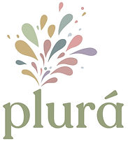 logo plura.jpg