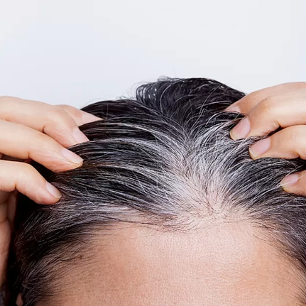 Ciência do Cabelo: É Possível Prevenir o Surgimento dos Fios Brancos em 2026?