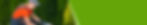 bg-contact.jpg