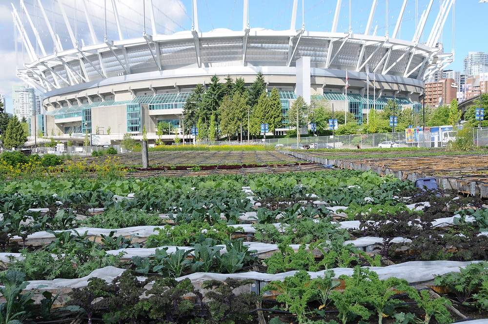 solefood street farms in vancouver https://solefoodfarms.com/the-self-sustaining-farm/