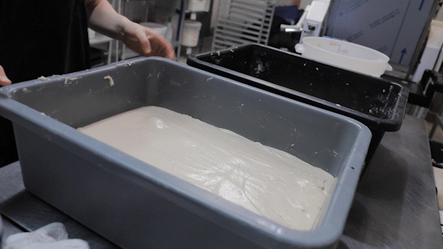 the first folds of sourdough before being baked