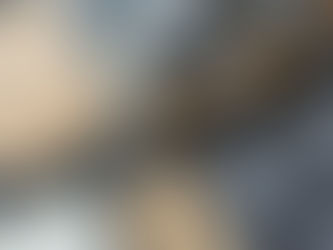 Your Guide to Sustainable Businesses in Vancouver