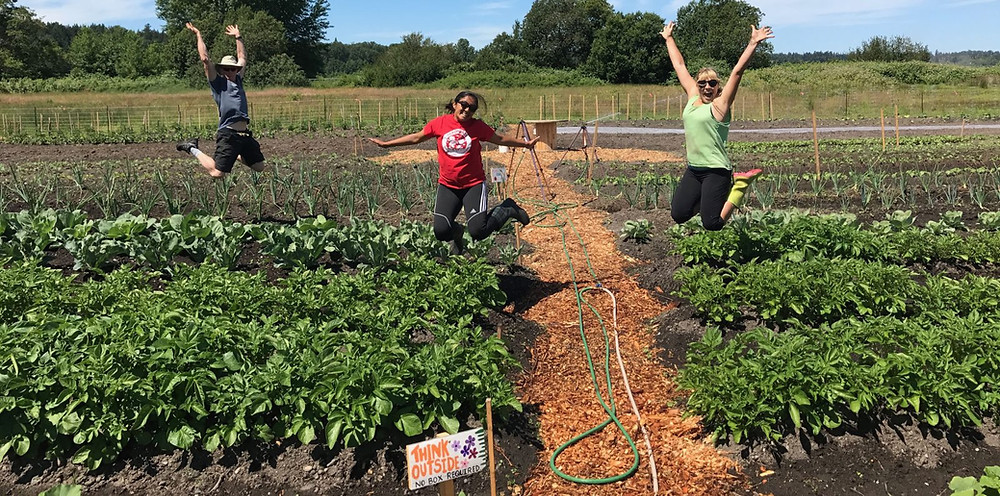 fresh root farm https://freshroots.ca/farmroots/