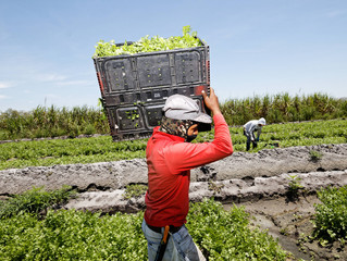 Protecting Foreign Growers Who Consign Produce or other Fresh Food to the U.S.