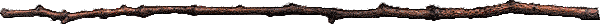 bar_art5.gif