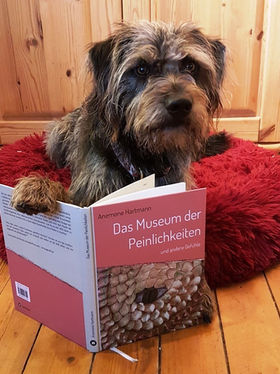 Neue Leser gewinnen
