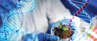 Biological pic HR shutterstock_274975748