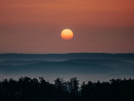 Protect Your Frequency: The Art of Rising Above It All