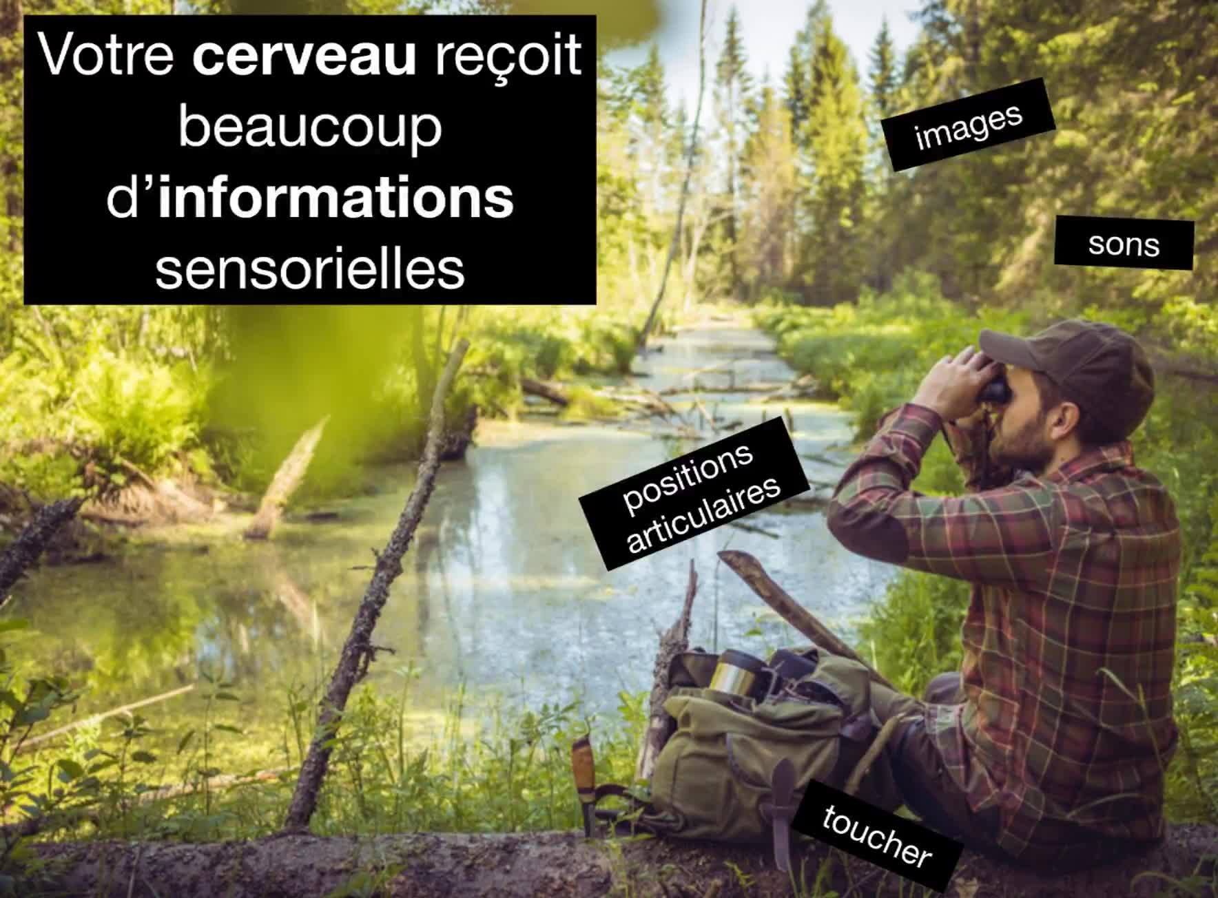 Comprenez mieux l'influence de l'esprit sur votre douleur... - https://www.retrainpain.org/francais