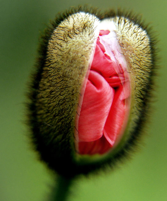 Photo Jul 28, 9 30 03 PM.jpg