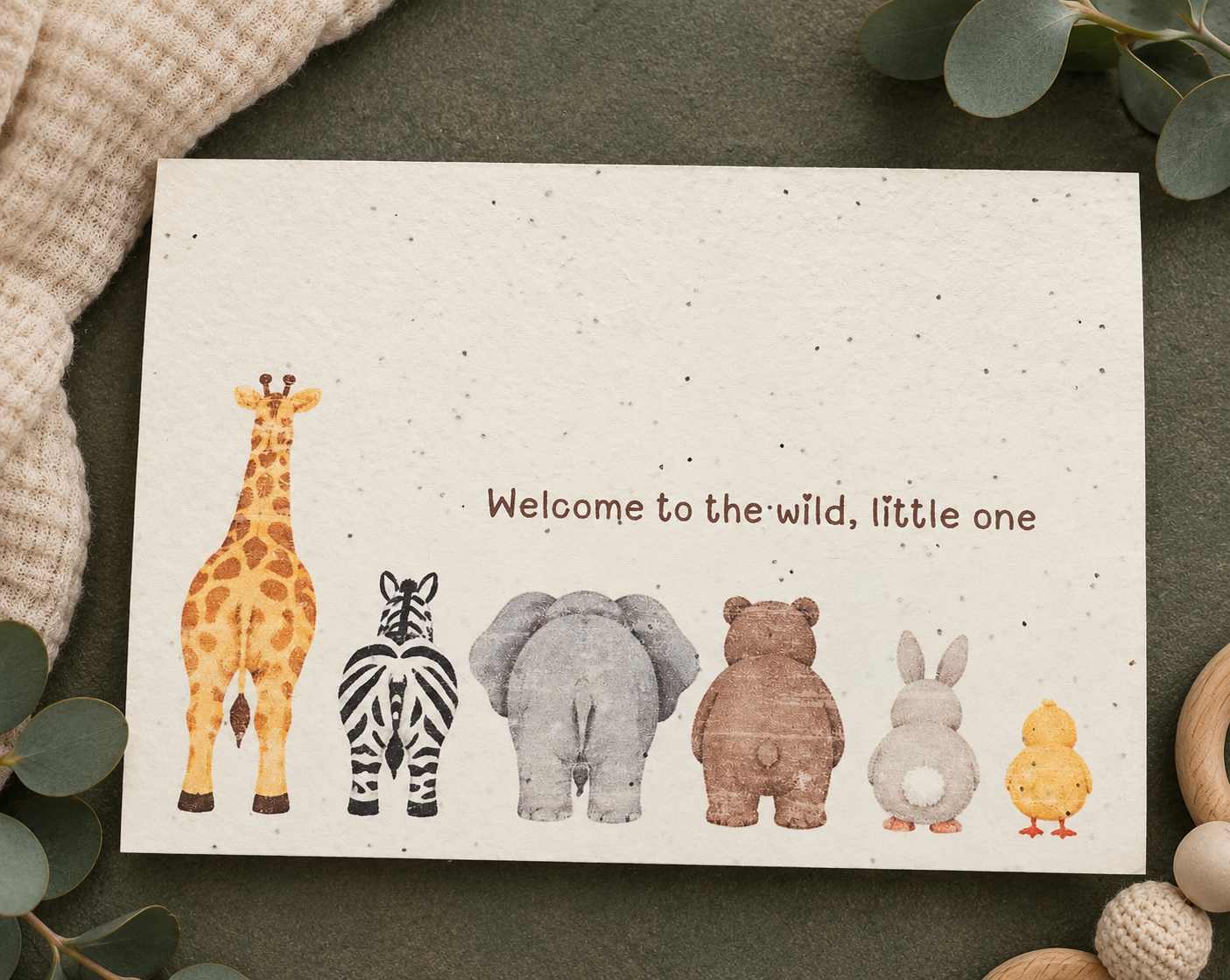 New Baby! - Welcome to the Wild