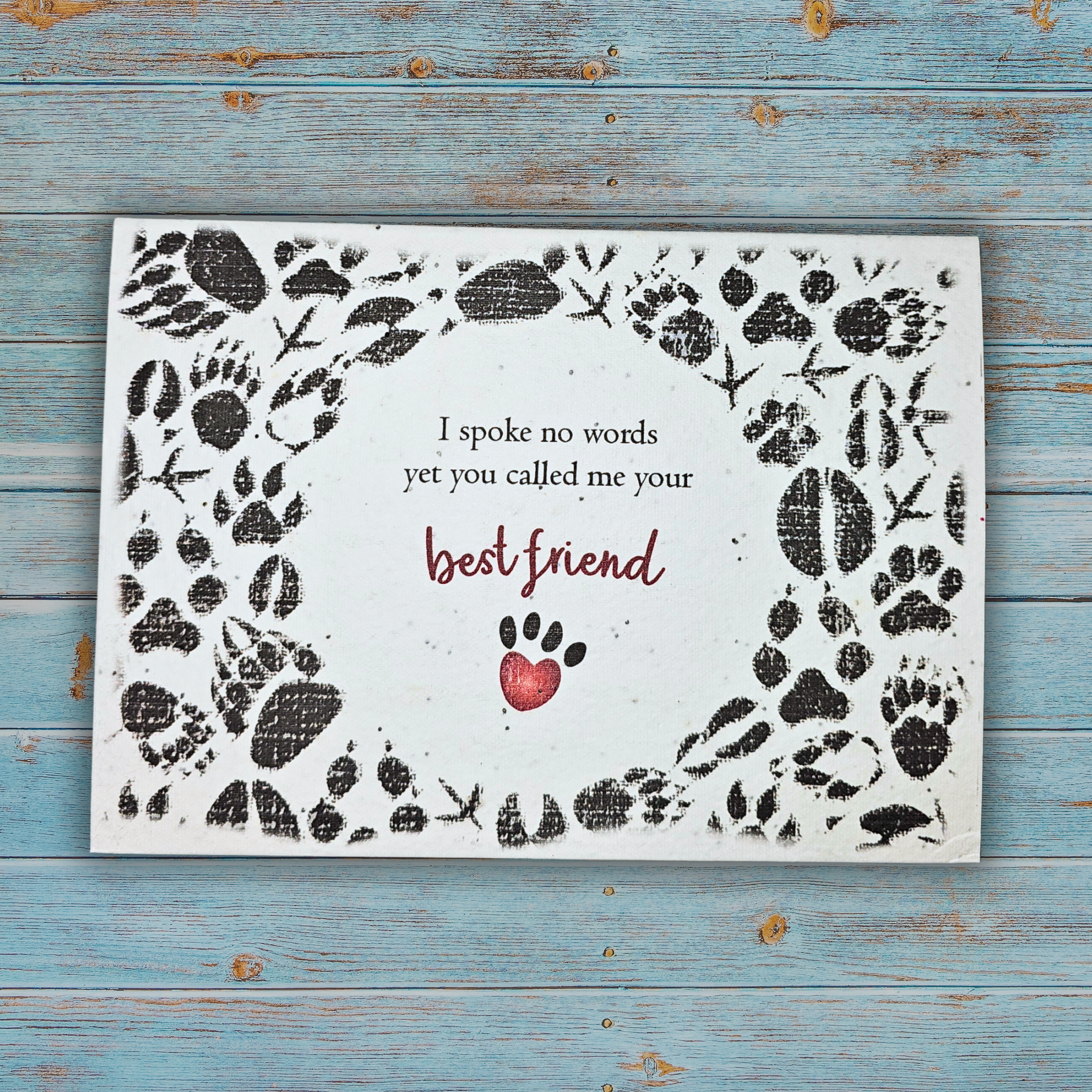 Plantable Sympathy Card Pack "Best Friend"