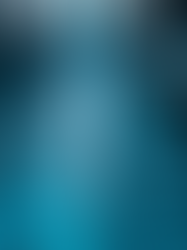 Understanding Rodent Risks in Data Centers: Rodent Risk Assessment Techniques