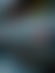 Buying Rat Shield RS1800 Fuse Boxes: A Practical Guide for Sensitive Environments