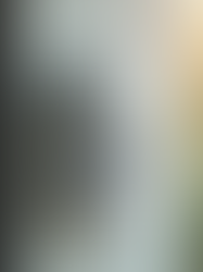 Comprehensive Overview of Rat Shield Product Solutions