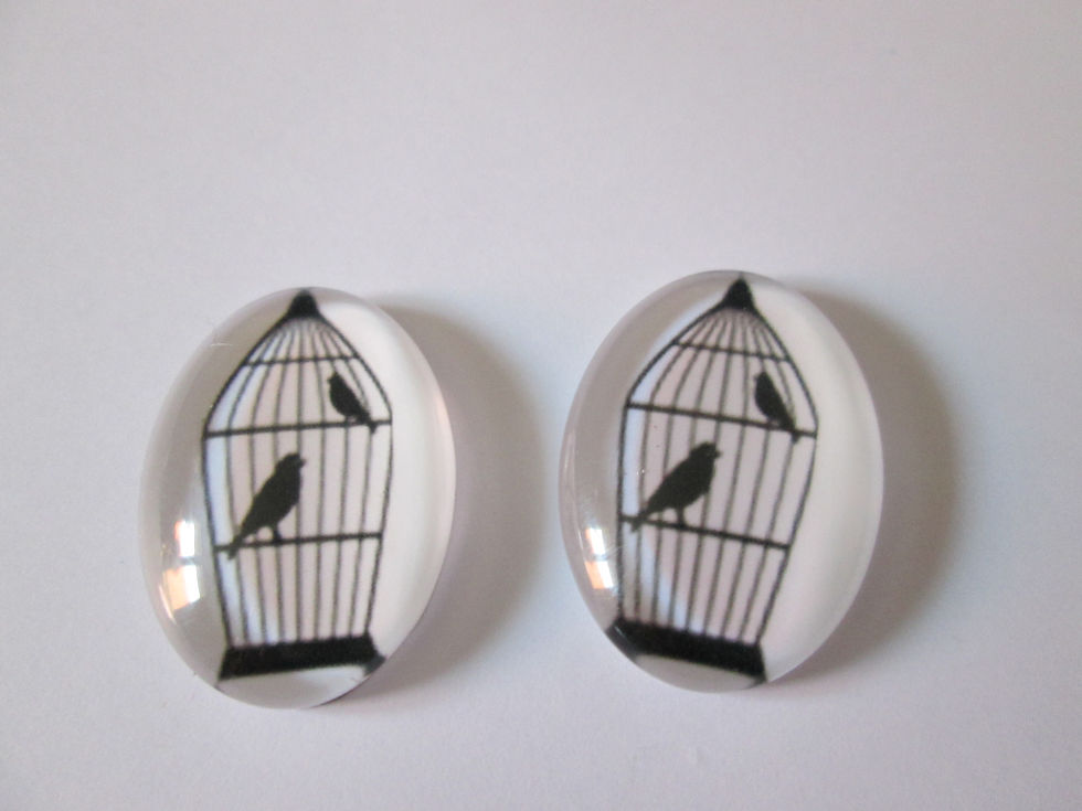 Miniatura: 25 x 18  mm - 2 cabochons verre impression oiseaux  - 12 modèles